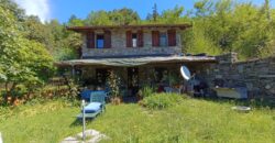 Anteprima foto Villetta vista lago immersa nel verde.