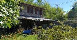 Anteprima foto Villetta vista lago immersa nel verde.