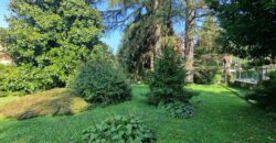 Anteprima foto Villa signorile di generosa metratura, con giardino