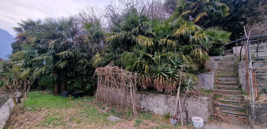 Foto Ampia casa con cortile, giardino e box auto